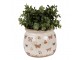 Béžový antik obal na květináč s motýlky Butterfly Paradise M - Ø 16*13 cm Clayre & Eef