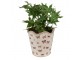 Béžový antik obal na květináč s motýlky Butterfly Paradise L - Ø 19*18 cm Clayre & Eef