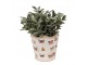 Béžový antik obal na květináč s motýlky Butterfly Paradise S - Ø 13*12 cm Clayre & Eef