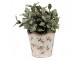Béžový antik obal na květináč s olivami Olive Fields S - Ø 13*12 cm Clayre & Eef