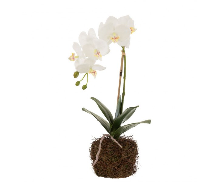 Dekorace umělá květina Orchidej s kořeny a mechem - 23*17*40 cm J-Line by Jolipa