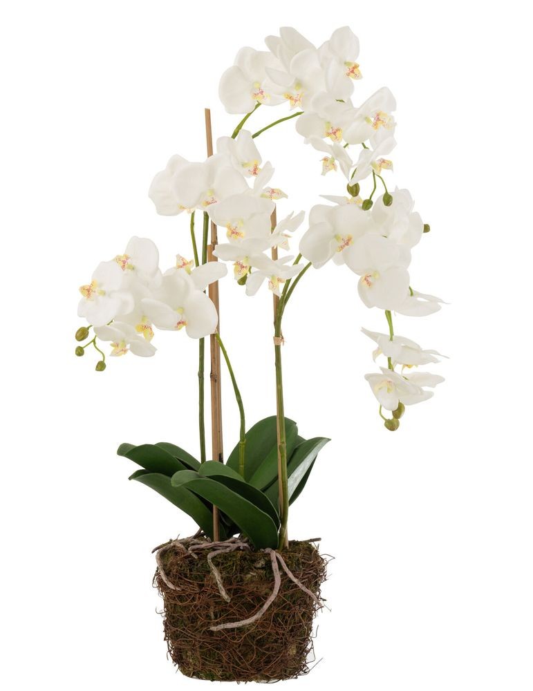Dekorace umělá květina Orchidej s kořeny a mechem - 32*32*75 cm