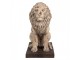 Béžová antik dekorativní socha lev Lion - 30*23*45 cm Clayre & Eef