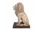 Béžová antik dekorativní socha lev Lion - 30*23*45 cm Clayre & Eef