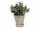 Béžový antik cementový květináč s miskou Provencal S - Ø 13*14 cm Clayre & Eef