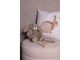 Povlak na polštář s motivem králíčka a srdíček Bunnies in Love - 45*45 cm Clayre & Eef