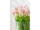 Kytice 7ks světle růžových realistických tulipánů Tulips - 45cm J-Line by Jolipa