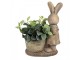 Béžová antik dekorace králičice s květináčkem - 38*22*49 cm Clayre & Eef
