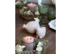 Latté antik dekorace slepice - 12*8*10 cm Clayre & Eef