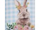 Modrý károvaný polštář s králíčkem Rabbio - 45*45*15cm Mars & More 