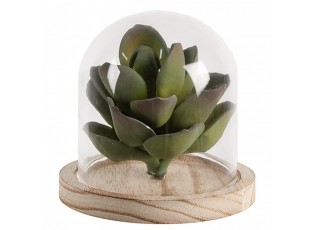 Přírodní dřevěný podnos se skleněným poklopem - Ø 13*11 cm 