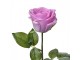 Dekorace umělá květina fialová růže Rose - 8*8*44 cm Clayre & Eef
