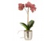 Dekorace umělá květina Orchidej s květináčem - 23*23*50 cm J-Line by Jolipa