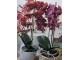 Dekorace umělá květina Orchidej s květináčem - 32*32*57 cm J-Line by Jolipa