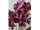 Dekorace umělá květina Orchidej s květináčem - 23*23*50 cm J-Line by Jolipa