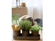 Set 3ks plechový obal na květináč s táckem Palli - Ø 10*12/ 36*12*5,5 cm Chic Antique