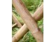 Přírodní bambusová židle Bamboo Lyon - 50*42*92 cm Chic Antique