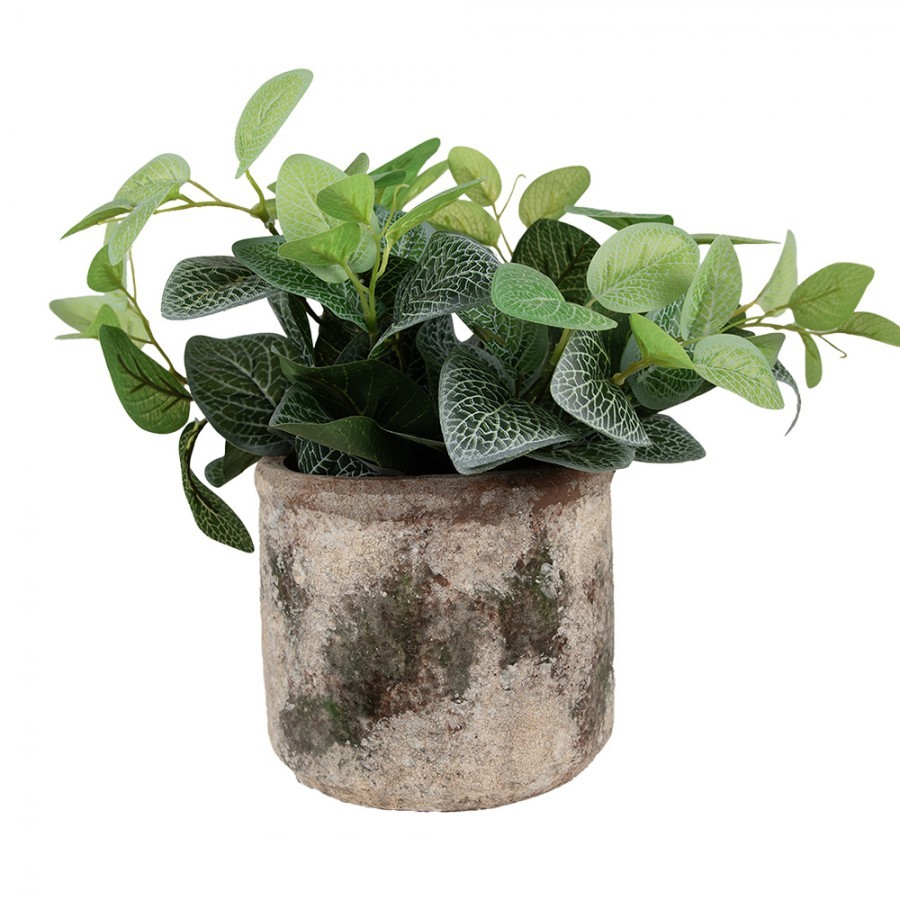 Dekorativní béžovo-zelený antik terakotový květináč Teracci M - Ø 14*12 cm Clayre & Eef Dekorativní béžovo-zelený antik terakotový květináč Teracci M - Ø 14*12 cm Clayre & Eef
