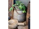 Hnědá dřevěná retro dekorační lžíce Grimaud - 23*15*6,5 cm Chic Antique