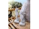 Šedá cementová dekorace mořský koník na podstavci - 8*6*17 cm Chic Antique