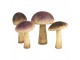 Hnědo-béžová dekorace houba Mushroom - Ø 7*16 cm Clayre & Eef