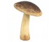 Hnědo-béžová dekorace houba Mushroom - Ø 9*12 cm Clayre & Eef