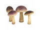 Hnědo-béžová dekorace houba Mushroom - Ø 9*12 cm Clayre & Eef