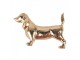 Zlatá kovová úchytka jezevčík Dachshund - 6*4*4 cm / S3 cm Clayre & Eef