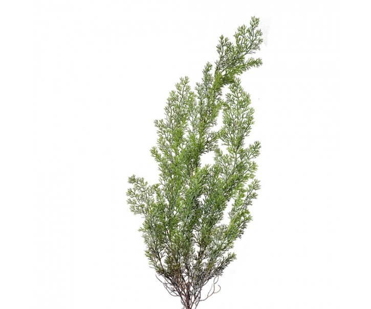 Dekorace zelená umělá větvička - 100 cm Clayre & Eef