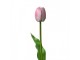 Umělá květina světle růžový tulipán Tulip Pink - 4*4*32 cm Clayre & Eef
