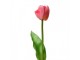 Umělá květina růžový tulipán Tulip Pink - 4*4*32 cm Clayre & Eef