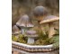 Hnědo-béžová dekorace houba Mushroom - Ø 7*16 cm Clayre & Eef