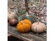 Tmavě zelená látková dekorace dýně Pumpkin XXL - Ø 25*16 cm Clayre & Eef