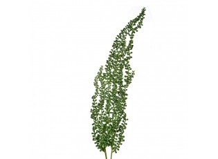 Zelená umělá převislá rostlina starček - 74 cm