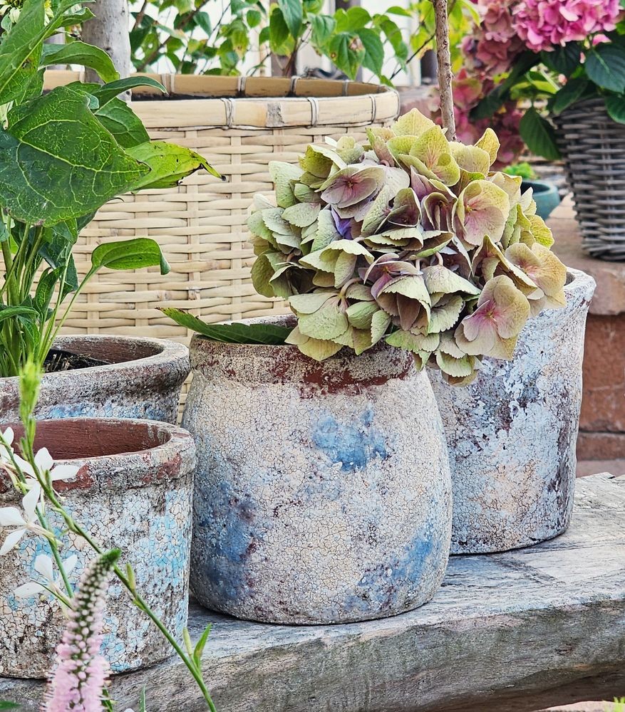 Dekorativní béžovo-hnědý antik terakotový květináč Teracci - Ø 14 * 14 cm Clayre & Eef Dekorativní béžovo-hnědý antik terakotový květináč Teracci - Ø 14 * 14 cm Clayre & Eef
