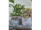 Dekorativní béžovo-hnědý antik terakotový květináč Teracci - Ø 14 * 14 cm Clayre & Eef