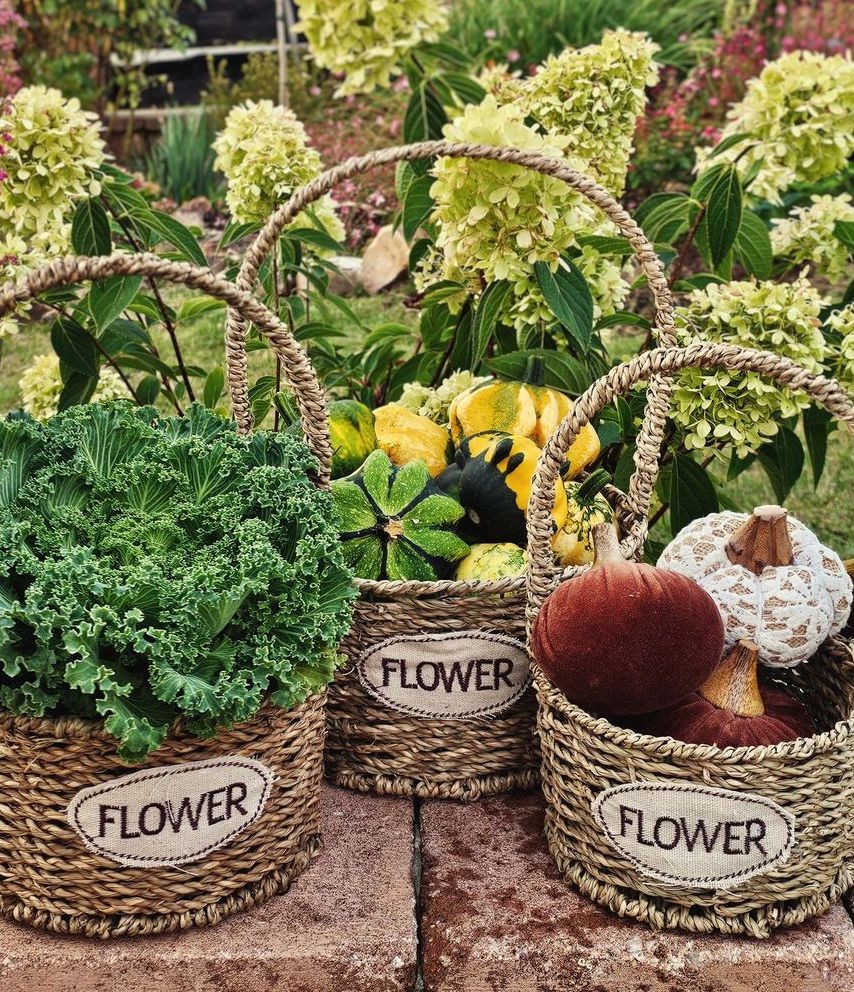 3ks pletený košík s uchy Flower - Ø 22*12/32 / Ø 19*11/27 / Ø 16*10/24 cm Clayre & Eef 3ks pletený košík s uchy Flower - Ø 22*12/32 / Ø 19*11/27 / Ø 16*10/24 cm Clayre & Eef