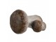 Béžovo-hnědá keramická dekorace houby Mushroom - 6*5*7 cm Clayre & Eef