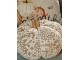 Hnědo-bílá krajková dekorace dýně Pumpkin XXL - Ø 25*16 cm Clayre & Eef
