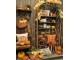 Béžovo-oranžový povlak na polštář s dýněmi Pumpkin Patch - 45*45 cm Clayre & Eef