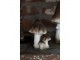 Béžovo-hnědá keramická dekorace houby Mushroom - 10*8*13 cm Clayre & Eef