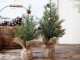 Zelený vánoční borovicový stromek v jutě Fleur Pine Tree - 25 cm Chic Antique