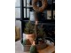 Zelený vánoční borovicový stromek v jutě Fleur Pine Tree - 25 cm Chic Antique