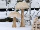 Přírodní dřevěná dekorace houba Mushroom - Ø 36*60 cm Chic Antique