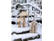 Přírodní dřevěná dekorace houba Mushroom - Ø 36*60 cm Chic Antique