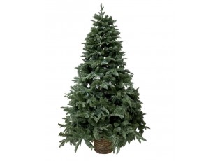 Zelený vánoční jedlový strom v květináči se světýlky Fleur Tree - 139*210 cm