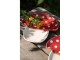 Servírovací keramický talířek houba muchomůrka Mushroom - 21*22*3 cm Clayre & Eef