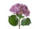 Fialová umělá dekorace květina hortenzie Hydrangea - 67cm Clayre & Eef