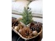 2ks dekorační podnos z březové kůry Birch Tray - 35*23*6 / 30*20*6 cm Chic Antique