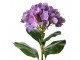 Fialová umělá květina hortenzie Hydrangea - 16*15*68 cm Clayre & Eef